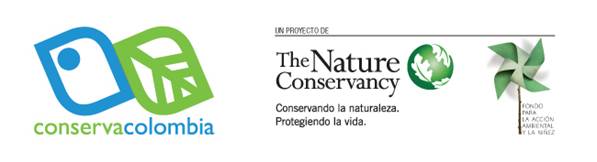 The nature Conservancy