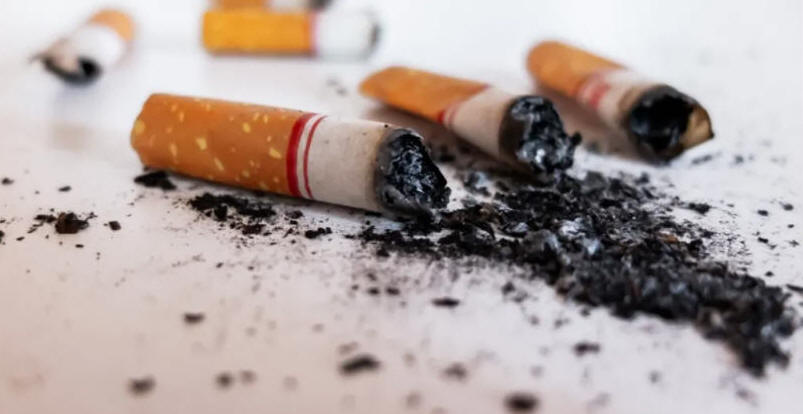 La nicotina perjudica tu salud Afecta tus pulmones